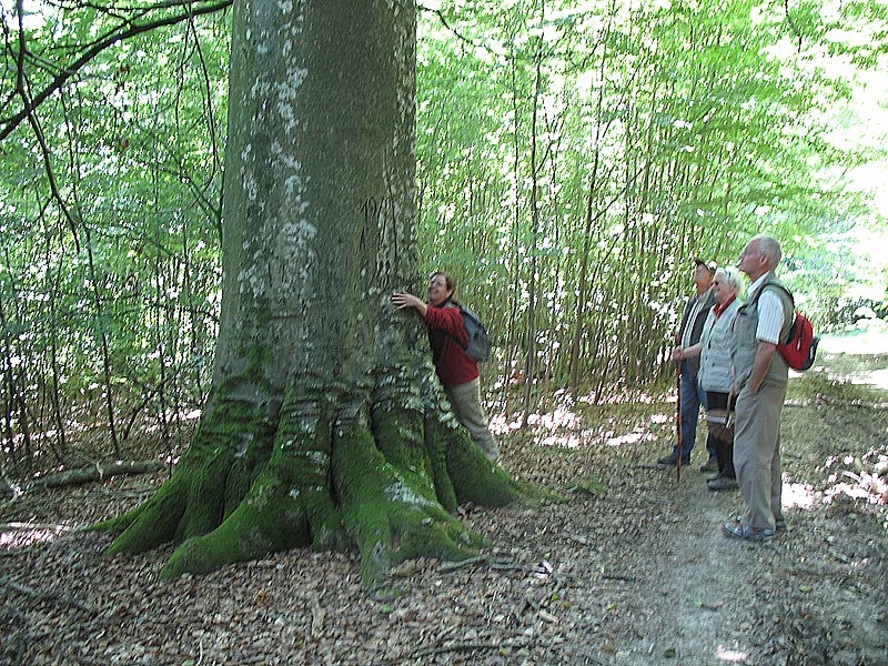 Myco Porte Baudet 02